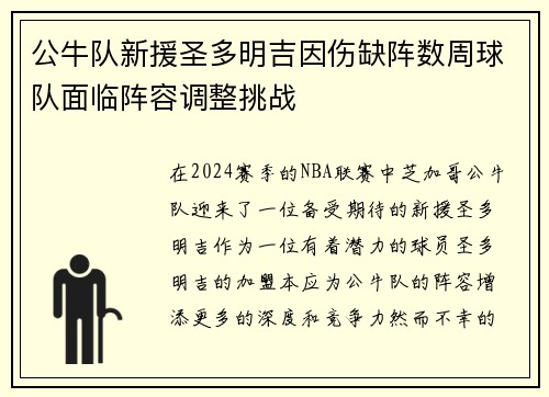 公牛队新援圣多明吉因伤缺阵数周球队面临阵容调整挑战