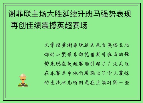 谢菲联主场大胜延续升班马强势表现 再创佳绩震撼英超赛场