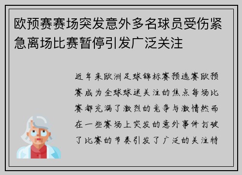 欧预赛赛场突发意外多名球员受伤紧急离场比赛暂停引发广泛关注